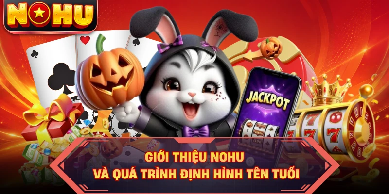 Giới thiệu NOHU và quá trình định hình tên tuổi