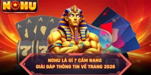 Nohu Là Gì ? Cẩm Nang Giải Đáp Thông Tin Về Trang 2026